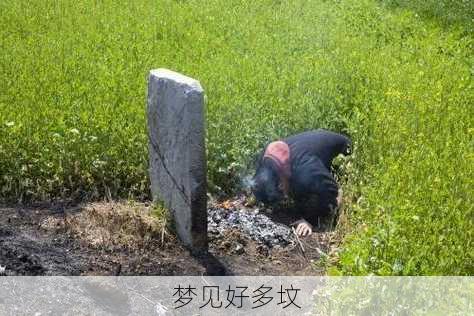 梦见好多坟