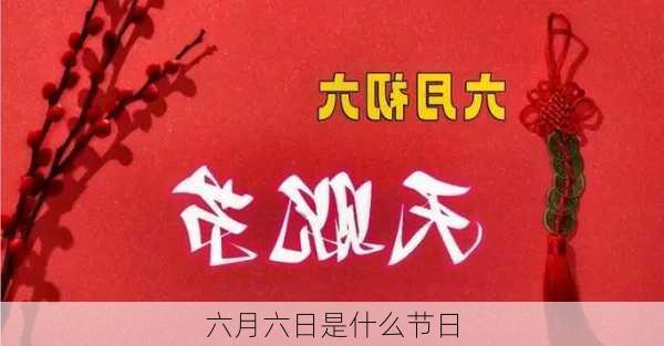 六月六日是什么节日