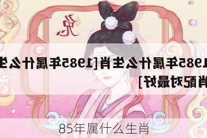 85年属什么生肖