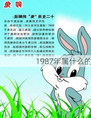 1987年属什么的