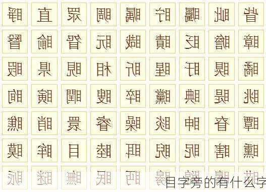 目字旁的有什么字