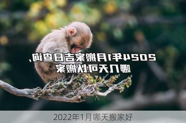 2022年1月哪天搬家好