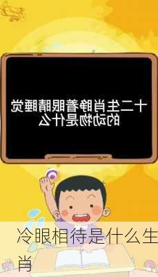 冷眼相待是什么生肖