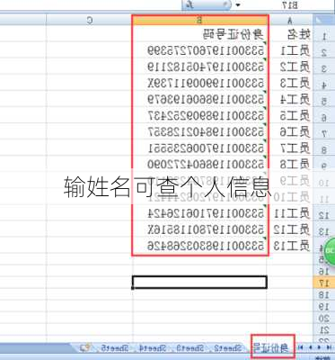 输姓名可查个人信息