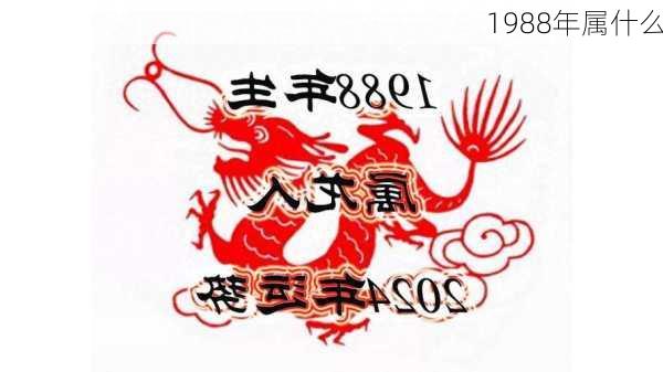 1988年属什么