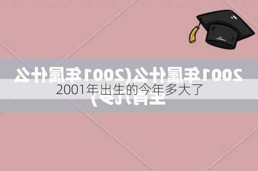 2001年出生的今年多大了