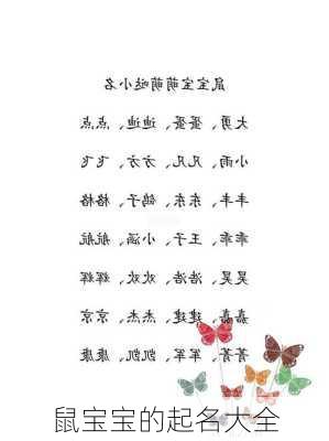 鼠宝宝的起名大全