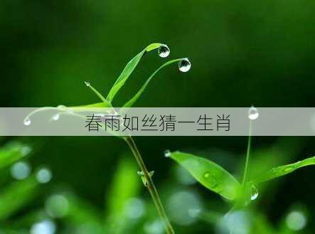 春雨如丝猜一生肖