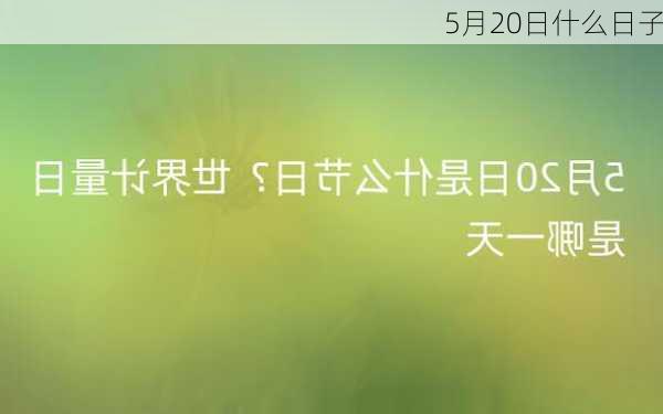 5月20日什么日子