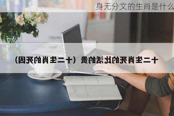 身无分文的生肖是什么