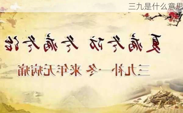 三九是什么意思