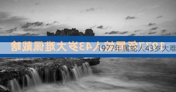 1977年属蛇人43岁大难