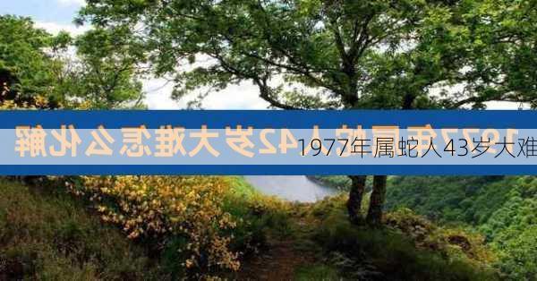 1977年属蛇人43岁大难