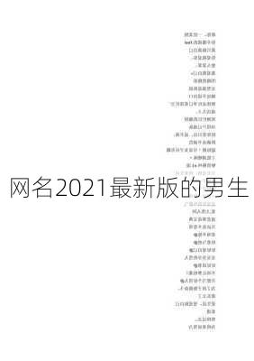 网名2021最新版的男生