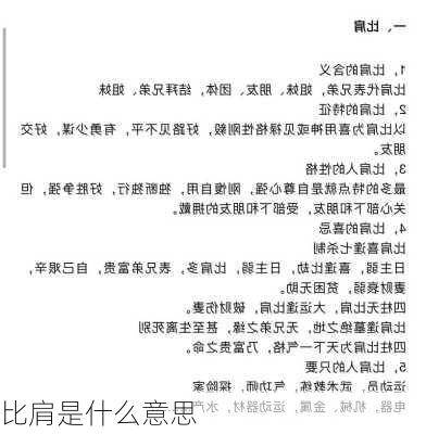 比肩是什么意思