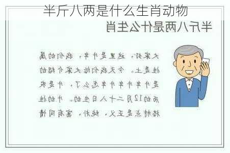 半斤八两是什么生肖动物