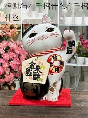 招财猫左手招什么右手招什么