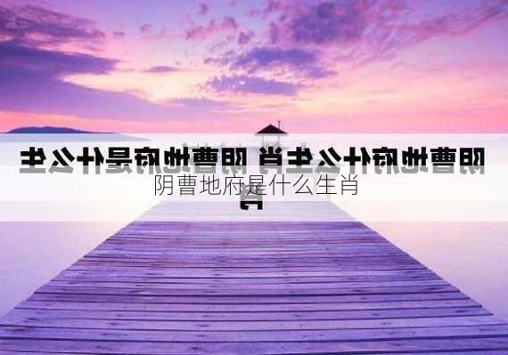 阴曹地府是什么生肖