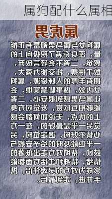 属狗配什么属相