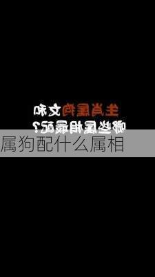 属狗配什么属相