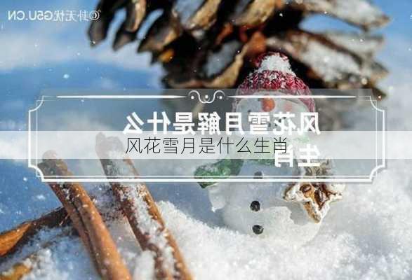 风花雪月是什么生肖