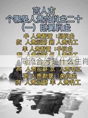 同流合污是什么生肖