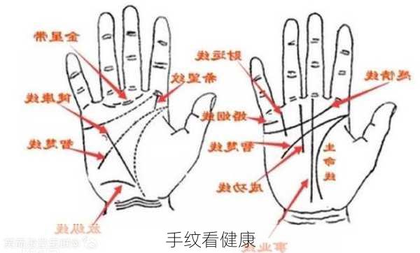 手纹看健康