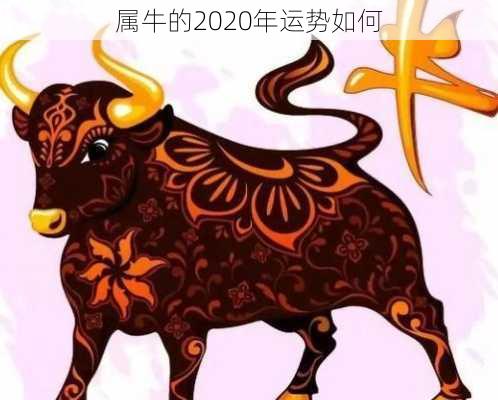 属牛的2020年运势如何