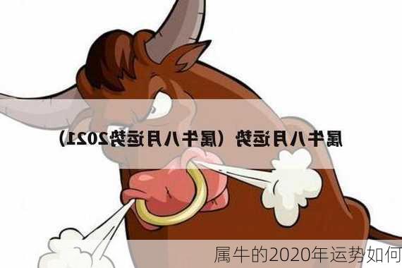 属牛的2020年运势如何