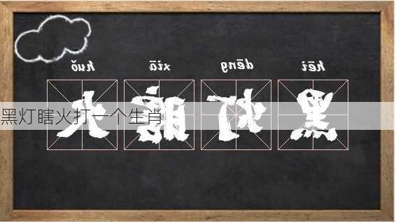 黑灯瞎火打一个生肖