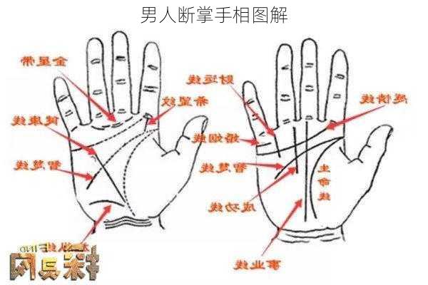 男人断掌手相图解