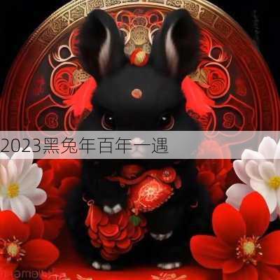 2023黑兔年百年一遇