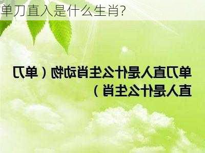 单刀直入是什么生肖?