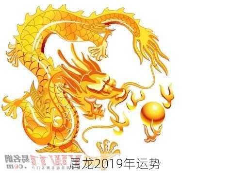 属龙2019年运势