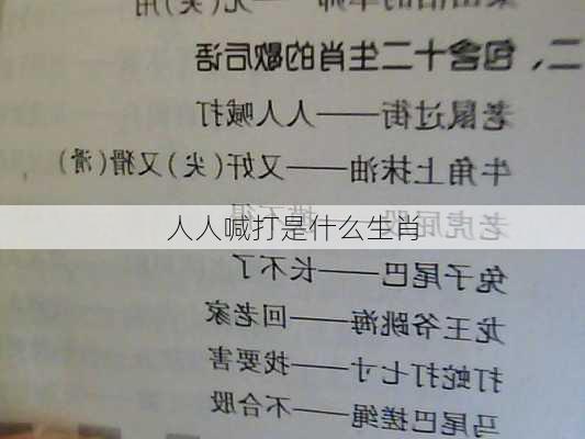 人人喊打是什么生肖