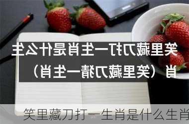 笑里藏刀打一生肖是什么生肖