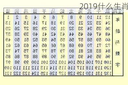 2019什么生肖