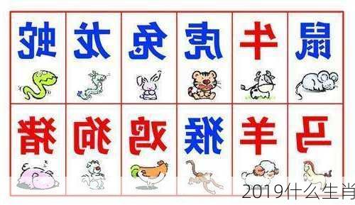 2019什么生肖