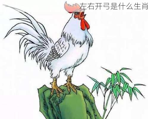 左右开弓是什么生肖