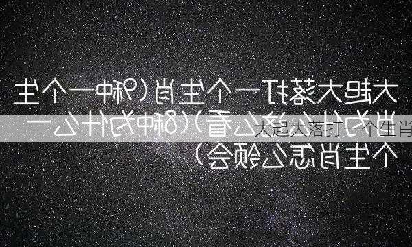 大起大落打一个生肖