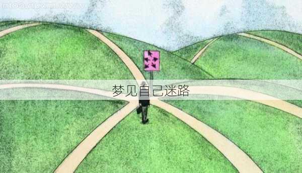 梦见自己迷路