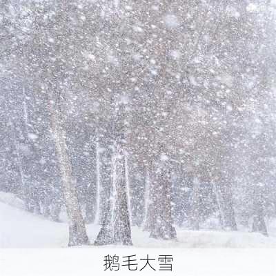 鹅毛大雪