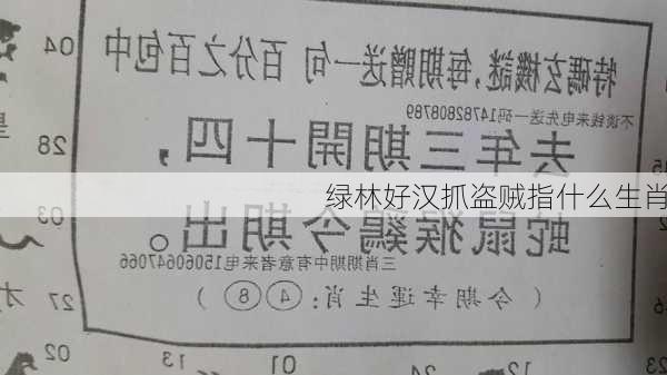 绿林好汉抓盗贼指什么生肖