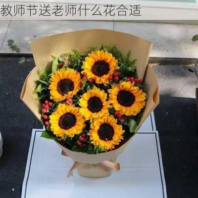 教师节送老师什么花合适