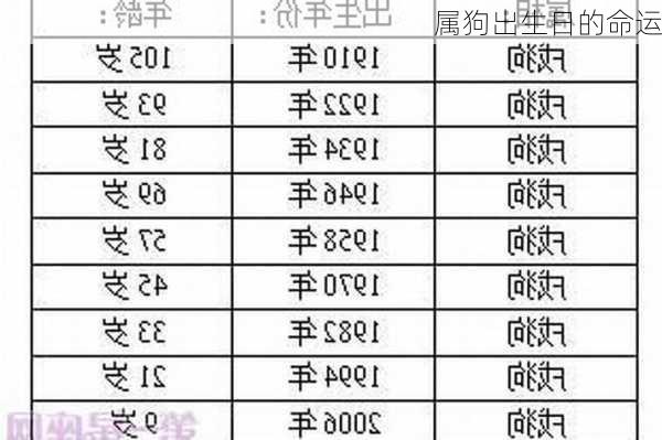 属狗出生日的命运