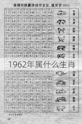 1962年属什么生肖