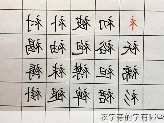 衣字旁的字有哪些