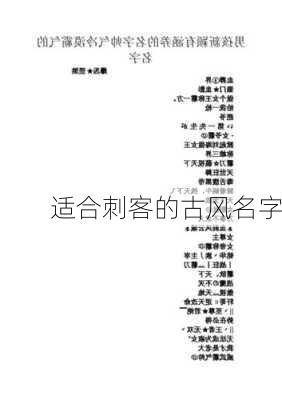 适合刺客的古风名字