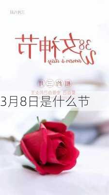 3月8日是什么节