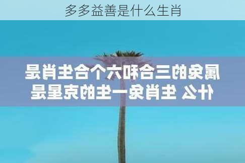 多多益善是什么生肖